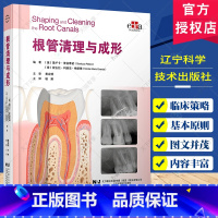 根管清理与成形 [正版]根管清理与成形 喻刚 主译 口腔治疗 牙体牙髓 根管解剖 根管治疗器械 根管治疗 辽宁科学技术出