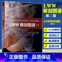 单本全册 [正版] LWW解剖图谱 第2版 丰富了头部五官和颅内解剖的内容 更新了300余幅图片 电脑绘图精细展现深浅层