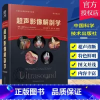 单本全册 [正版]超声影像解剖学 原书第2版 第二版 何文 聂芳 任芸芸 超声医学影像三维超声检查技术胸部腹部盆腔肌肉脊