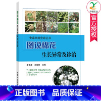 单本全册 [正版] 图说棉花生长异常及诊治 李雪源 棉花生长异常问题 棉花种植技术 棉花病虫害及其防治书籍 中国农业出版