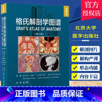 单本全册 [正版]格氏解剖学图谱 第3三版 中英双语 解剖学方位术语和平面 解剖学平面和影像 背部胸部腹部图解 武艳主译