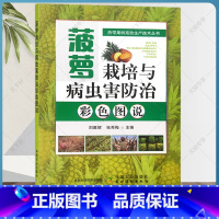 单本全册 [正版]2023新书 菠萝栽培与病虫害防治彩色图说 菠萝树栽培种植技术书籍菠萝果树修剪整形病虫害防治技术台农金