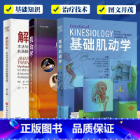 3册]肌动学 肌肉骨骼系统功能 第3版+基础肌动学 第4版+解剖列车 [正版]任选肌动学 肌肉骨骼系统功能 第3版+基础