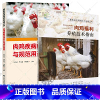 [正版]套装2册肉鸡疾病临床诊治与规范用药+肉鸡福利养殖技术指南 养鸡技术书养殖大全肉鸡养殖书 鸡病鉴别诊断图谱 鸡病