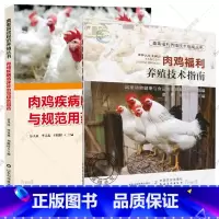 [正版]套装2册肉鸡疾病临床诊治与规范用药+肉鸡福利养殖技术指南 养鸡技术书养殖大全肉鸡养殖书 鸡病鉴别诊断图谱 鸡病