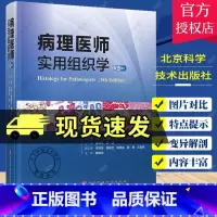 单本全册 [正版]病理医师实用组织学 第5五版 薛德彬 陈建 主译 病理生理生物分子学 可供病理学医学生及专科医师等专业