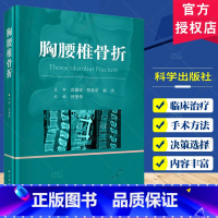 胸腰椎骨折 [正版]胸腰椎骨折 何登伟主编 胸腰椎骨折的概况 相关生物力学 体格检查和影像学检查等 胸腰椎骨折的损伤程度