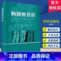 胸腰椎骨折 [正版]胸腰椎骨折 何登伟主编 胸腰椎骨折的概况 相关生物力学 体格检查和影像学检查等 胸腰椎骨折的损伤程度