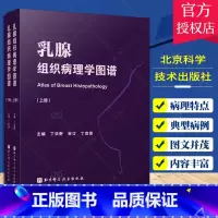 [正版]乳腺组织病理学图谱 上下册 丁华野 病理诊断鉴别病例图片临床肿瘤学癌症病理学图谱书籍 乳腺病理特点乳腺增生 北