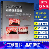 隧道瓣牙周整形手术的全新治疗理念 [正版] 牙周显微外科高阶技术图解 理想的美学区软组织管理 高小波 赵阳 李军