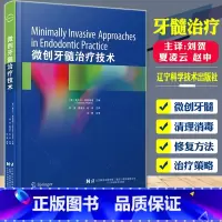 单本全册 [正版]微创牙髓治疗技术 刘贺 牙本质保存技术在根管治疗中的应用 活髓保存治疗技术 微创根管预备中的清理和消毒