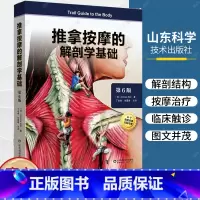[正版]附视频 推拿按摩的解剖学基础 第六版 第6版 丁自海 张露清 人体结构肌肉解刨运动系统局部疗法物理康复治疗师肌