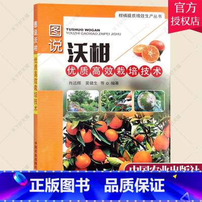 单本全册 [正版]图说沃柑优质高效栽培技术 肖远辉 沃柑种植技术 优质沃柑栽培方法施肥控水指导 病虫害防治常见病农药对策