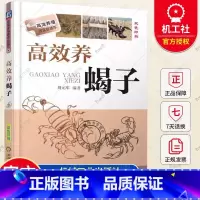 单本全册 [正版] 高效养蝎子 周元军 养殖致富直通车 食用价值 生活习性 人工繁殖 经典实用技术图书 农业技能培训教程