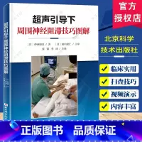超声引导下周围神经阻滞技巧图解 [正版]超声引导下周围神经阻滞技巧图解 附视频 张锦 李涛 主译 上肢下肢各个周围神经阻