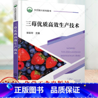 单本全册 [正版]三莓优质高效生产技术 张彩玲 草莓树莓蓝莓生产技术生物学特性品种苗木繁殖育苗栽培建园选址定植综合管理书