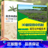 [正版]北方中药材种植与加工技术+30种常用中药材规范化种植技术 甘草板蓝根柴胡枸杞沙棘党参等常见中药材栽培种植技术大