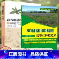[正版]北方中药材种植与加工技术+30种常用中药材规范化种植技术 甘草板蓝根柴胡枸杞沙棘党参等常见中药材栽培种植技术大