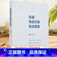 单本全册 [正版]街道综合行政执法实务 街道办事处 行政执法 戢浩飞 编著 9787576413168 中国政法大学出版