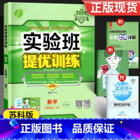 数学 八年级上 [正版]2024 实验班提优训练八年级数学 苏教版江苏苏科版 初二8八上同步练习册专项训练辅导资料书初中