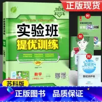 数学 八年级上 [正版]2024 实验班提优训练八年级数学 苏教版江苏苏科版 初二8八上同步练习册专项训练辅导资料书初中