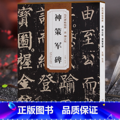 [正版]天卷 唐柳公权 神策军碑 历代碑帖 杜浩主编 柳体楷书毛笔字帖软笔书法成人学生临摹练习古帖 简体旁注原碑原贴
