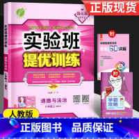 道德与法治 八年级上 [正版]2024新版实验班提优训练道德与法治八年级上册人教版 中学教辅上册初中政治同步提优课时作业
