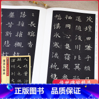 [正版]传世碑帖第三辑董美人墓志 毛笔字帖入门练习历代老碑帖法书选名品系列书法拓片 传世碑帖精选 曹全碑 毛笔书法字帖