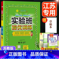 数学 三年级下 [正版]2025 实验班三年级下数学苏教版 实验班提优训练3年级下册同步练习册江苏 口算计算题应用题专项