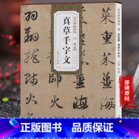[正版]天卷 元赵孟頫 真草千字文 历代碑帖 杜浩主编 赵体楷书草书毛笔字帖赵孟俯书法成人学生临摹练习 简体旁注原碑帖