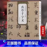 [正版]天卷 元赵孟頫 真草千字文 历代碑帖 杜浩主编 赵体楷书草书毛笔字帖赵孟俯书法成人学生临摹练习 简体旁注原碑帖