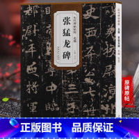 [正版]天卷 北魏 张猛龙碑 历代碑帖 杜浩主编 楷书毛笔字帖软笔书法成人学生临摹临帖练习古帖鉴赏 简体旁注原碑原贴