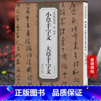 [正版]历代碑帖精粹 唐怀素小草千字文大草千字文薛元明主编 二辑简体旁注碑帖草书毛笔书法字帖 安徽美术出版社