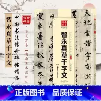 [正版]字帖 中国书法传世碑帖精品 草书02 智永真草千字文 毛笔书法练字帖名碑帖精粹名品原帖成人初学者