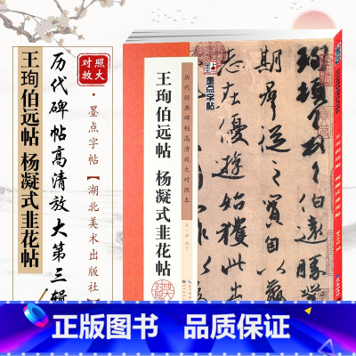 [正版]王珣伯远帖 杨凝式韭花帖 历代碑帖高清放大对照本 字帖 行书毛笔书法临摹练习字帖 简体旁注笔法讲解 湖北美术出