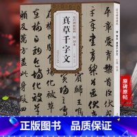 [正版]天卷 隋智永 真草千字文 历代碑帖 杜浩主编 楷书草书毛笔字帖书法学生成人临摹临帖练习古帖 简体旁注原碑原贴