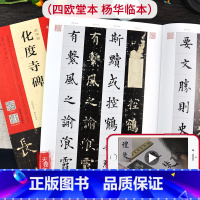 [正版]视频教程 欧阳询化度寺碑 四欧堂本杨华临本 欧阳询书法 拓片书法碑帖古代字帖书籍 河南美术出版社