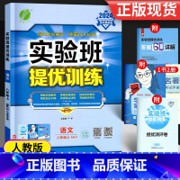 语文 八年级上 [正版]2024 实验班提优训练八年级上册语文 人教版 初二同步练习册苏教版初中必刷题课时作业本资料书课