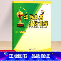 [正版] 新版 小学数学华数奥赛强化训练 四年级上下册通用版 小学数学思维训练练习题 小学4年级数学奥数举一反三奥赛培