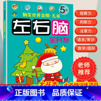 [正版]5-6岁儿童左右脑全脑智力开发抓住脑发育黄金期均衡开发大脑潜能逻辑思维训练书幼儿园宝宝书籍益智早教书本专注力记