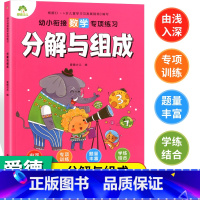 [正版]幼小衔接爱德少儿数学专项练习分解与组成口算题册数学专项练习幼儿园大班数学二十以内练习册口算题 学前思维训练算数