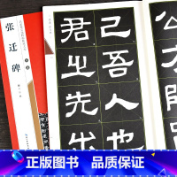 [正版]汉隶张迁碑 名家墨宝选粹临帖放大本 隶书毛笔字帖书法软笔简体旁注 成人练字帖成年男初学者临摹碑帖集字古诗米字格