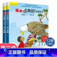 第三级上册+下册(12册) 小学通用 [正版]丽声北极星分级绘本 三年级下一级下四年级下册第二级下第三级下五六年级第四级