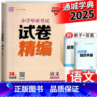 语文 [正版]2025通城学典 小学毕业考试试卷精编语文人教版江苏教版 六年级小升初语文总复习资料辅导书分类真题卷专项训