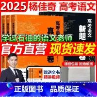 2件套]杨佳奇高考语文新题6卷+真题12卷 全国通用 [正版] 2025杨佳奇高考语文真题12卷新题6卷试卷真题