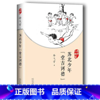 苏北少年堂吉诃德 [正版]任选全10册 我们小时候系列 苏北少年堂吉诃德+文学少年+林中小屋+文学中国儿童文学中小学生课