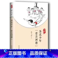 苏北少年堂吉诃德 [正版]任选全10册 我们小时候系列 苏北少年堂吉诃德+文学少年+林中小屋+文学中国儿童文学中小学生课