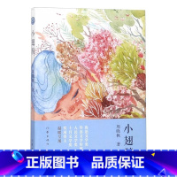 小翅膀 [正版] 小翅膀 周晓枫著 聋天使 巨鲸歌唱作者 儿童文学鲁迅文学奖人民文学奖等获奖作品青少年课外阅读书籍