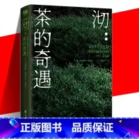 沏:茶的奇遇 [正版] 沏:茶的奇遇 带你领略茶文化的魅力与深邃 看中国的茶 茶文化 饮食文化书籍 饮茶爱茶寻茶制茶