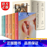 [正版] 渡边淳一的书全套6册 爱的六种语言 渡边淳一 小说集 失乐园紫阳花日记化身情人北都物语瞬间 典藏版日本文